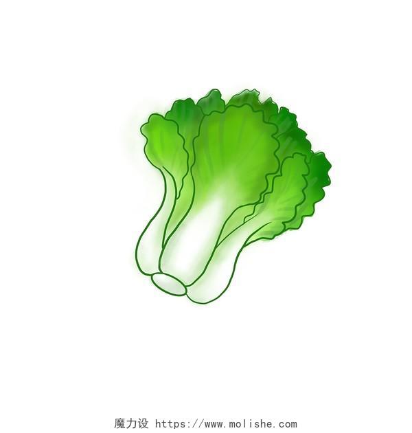 白菜 青菜 蔬菜 绿色食品大白菜蔬菜元素